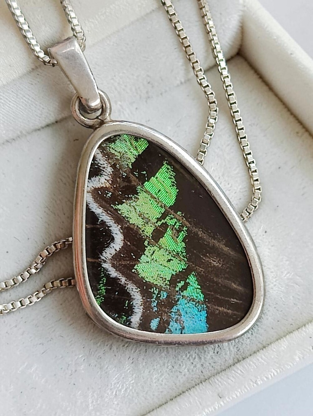 Sterling Silver Green Banded Urania Leilus Butterfly Wing Pendant Necklace